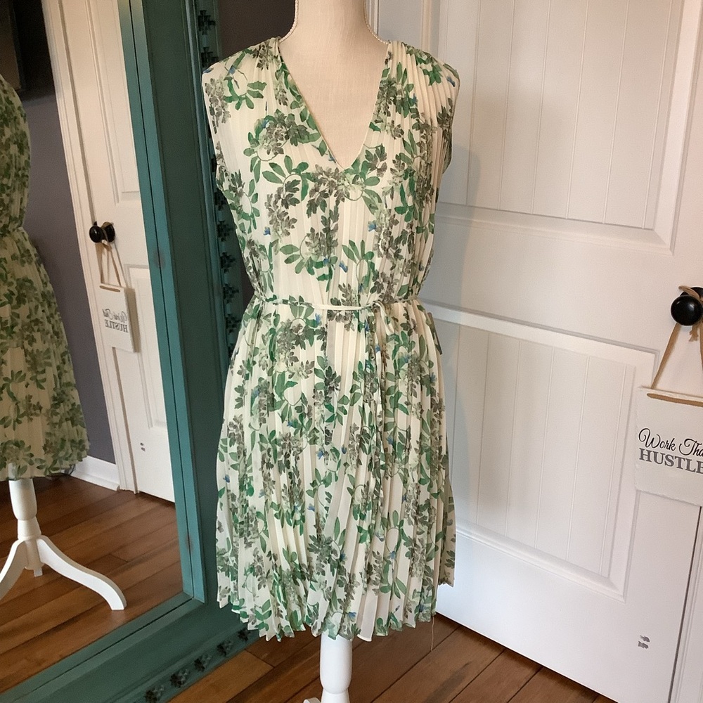 NWT 💚Max Studio Green and Cream‎ Dress